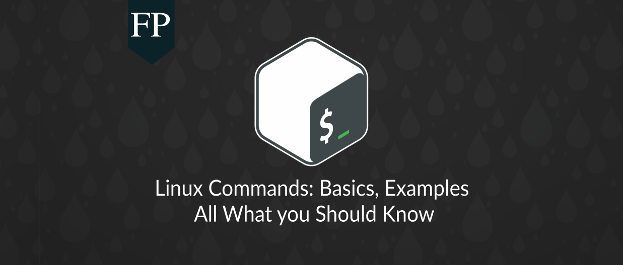 Linux Command Line Basics Examples Cheatsheats Books