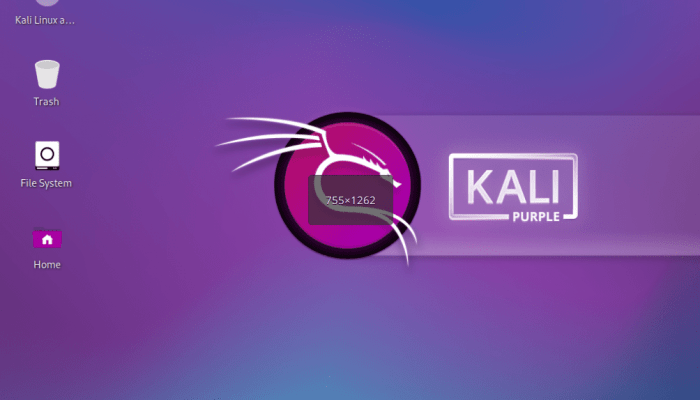 Kali linux purple desktop