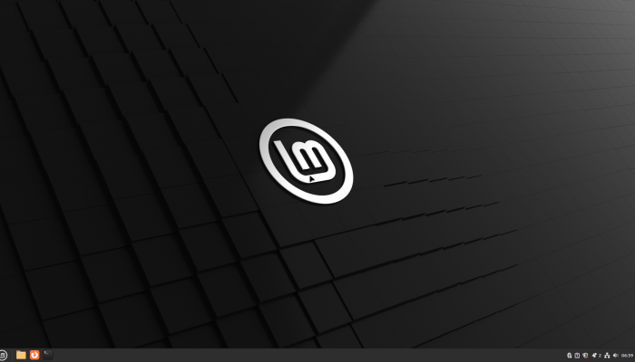 Linux Mint 22