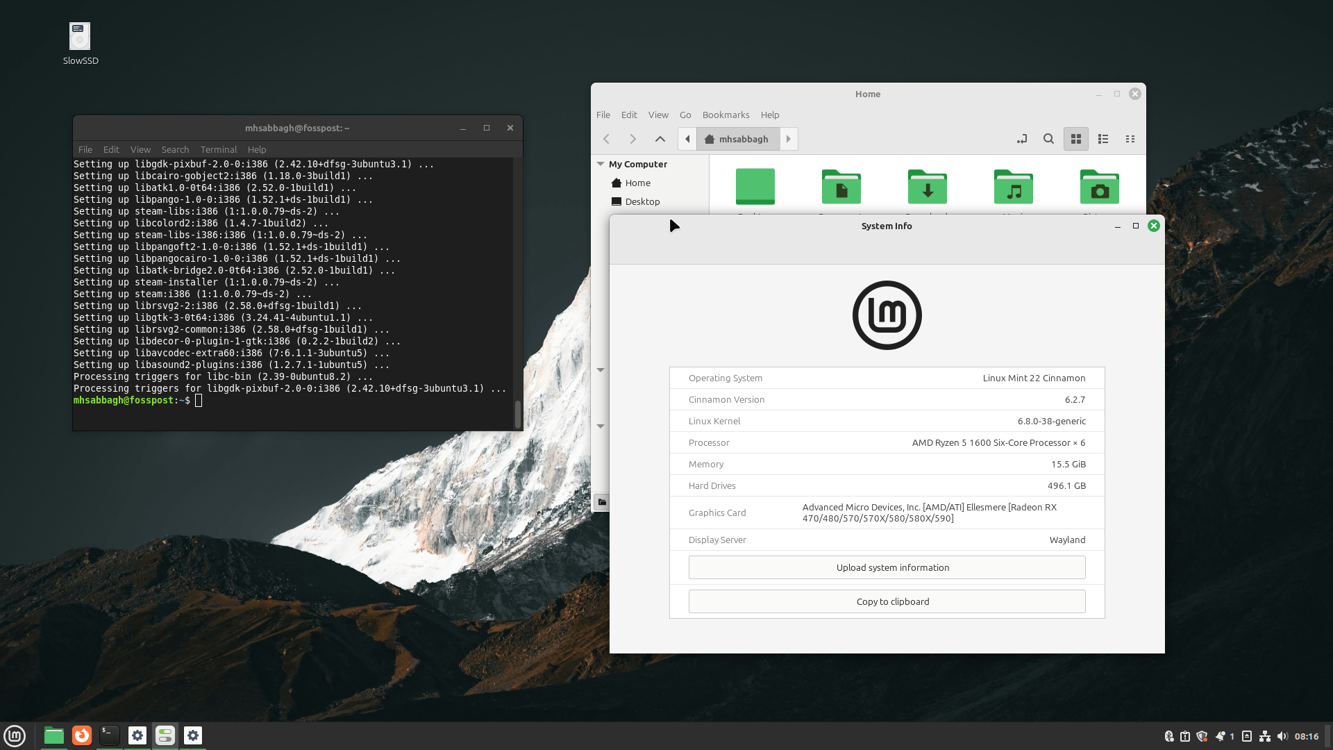 linux mint 22 33